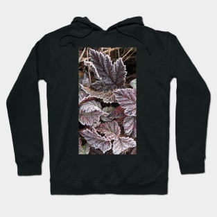 The Beauty and Stillness of Frosty Fall Leaves Hoodie